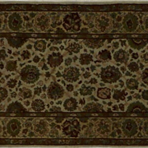 0232-291 3.1x5 Indo Rugs Arizona