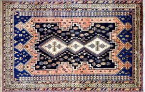 1041 5.3x8 Persian Baktiari Phoenix Area Rugs