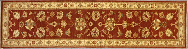 41026-2 3.1x13.4 Pakistan Runner Rug