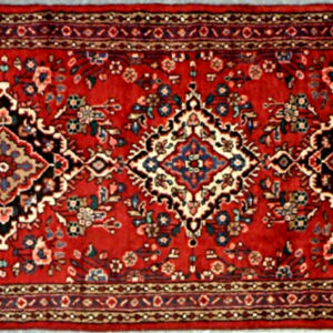 HH-30 3.8x9.8 Persian Hamadon Runner Rug