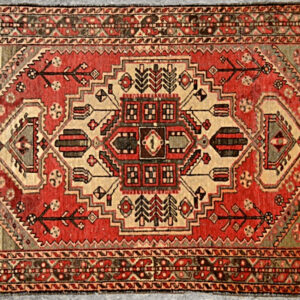 HH-50 4.2x6.7 Persian Zarand Rug