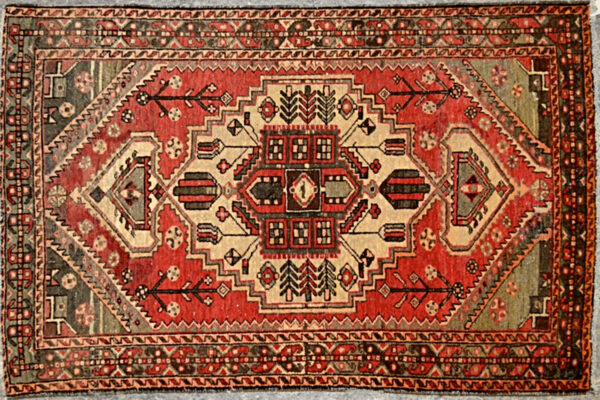 HH-50 4.2x6.7 Persian Zarand Rug