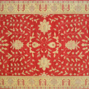 MM0102 6.2x8.11 Indo Floor Rugs Phoenix