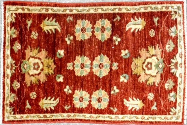 SCT-30 2x3 Pakistan rug