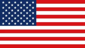 Flag icon