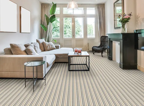 Professional Carpet Sales