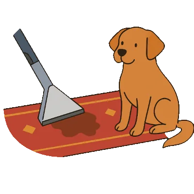 Pet Stain & Odor Removal Experts