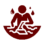 Expert Rug Cleaning Specialists
