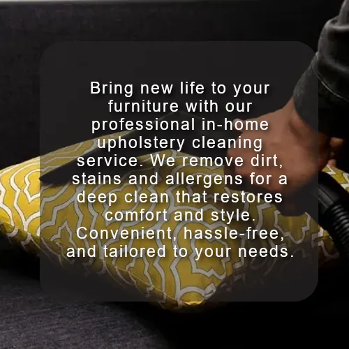 Expert In-Home Upholstery Cleaning Services