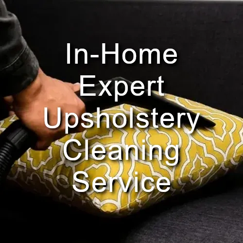 In-Home Professional Upholstery Cleaning Service